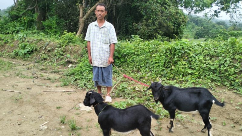 সীমান্তে ভারতীয় নাগরিক আটক, সঙ্গে দুটি পাঠা ছাগল উদ্ধার